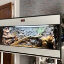 Custom Tank for reptiles like a Gecko Bearded Dragon snake-0