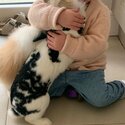 Two gorgeous pet female rabbits Available -0