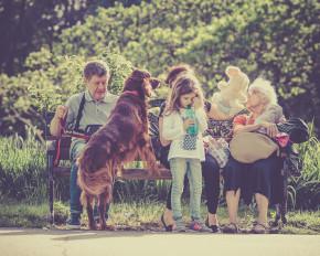 Pet Sitting Texas